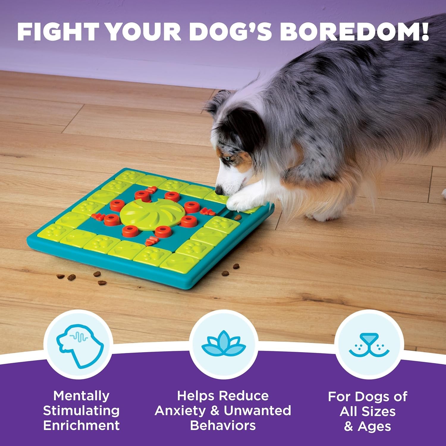 Nina Ottosson Expert Level 4 Interactive Dog Treat Puzzle - Engaging Enrichment Toy for Smart Dogs