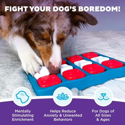 Nina Ottosson Dog Brick - Engaging Interactive Treat Puzzle Toy for Intermediate Dogs