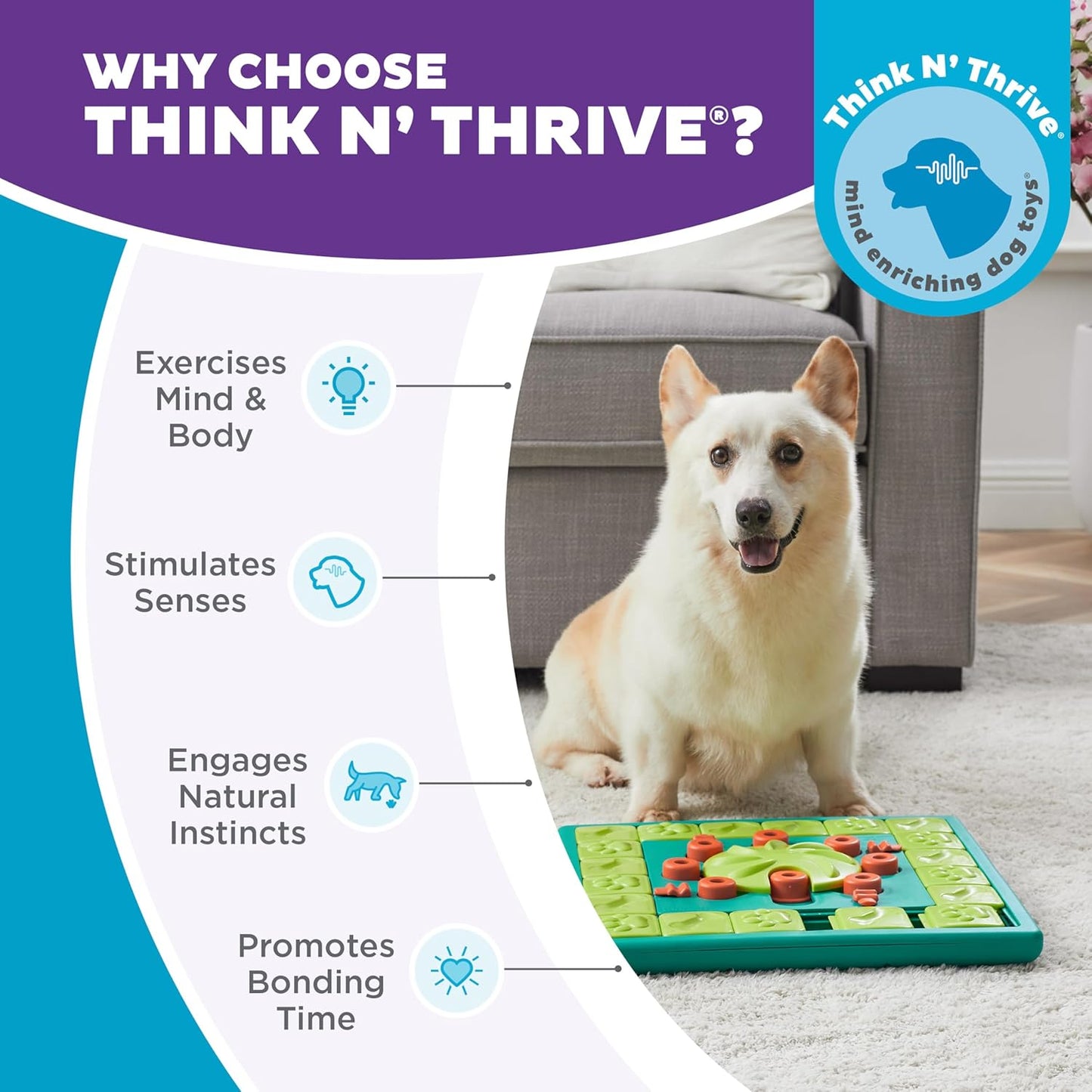 Nina Ottosson Expert Level 4 Interactive Dog Treat Puzzle - Engaging Enrichment Toy for Smart Dogs