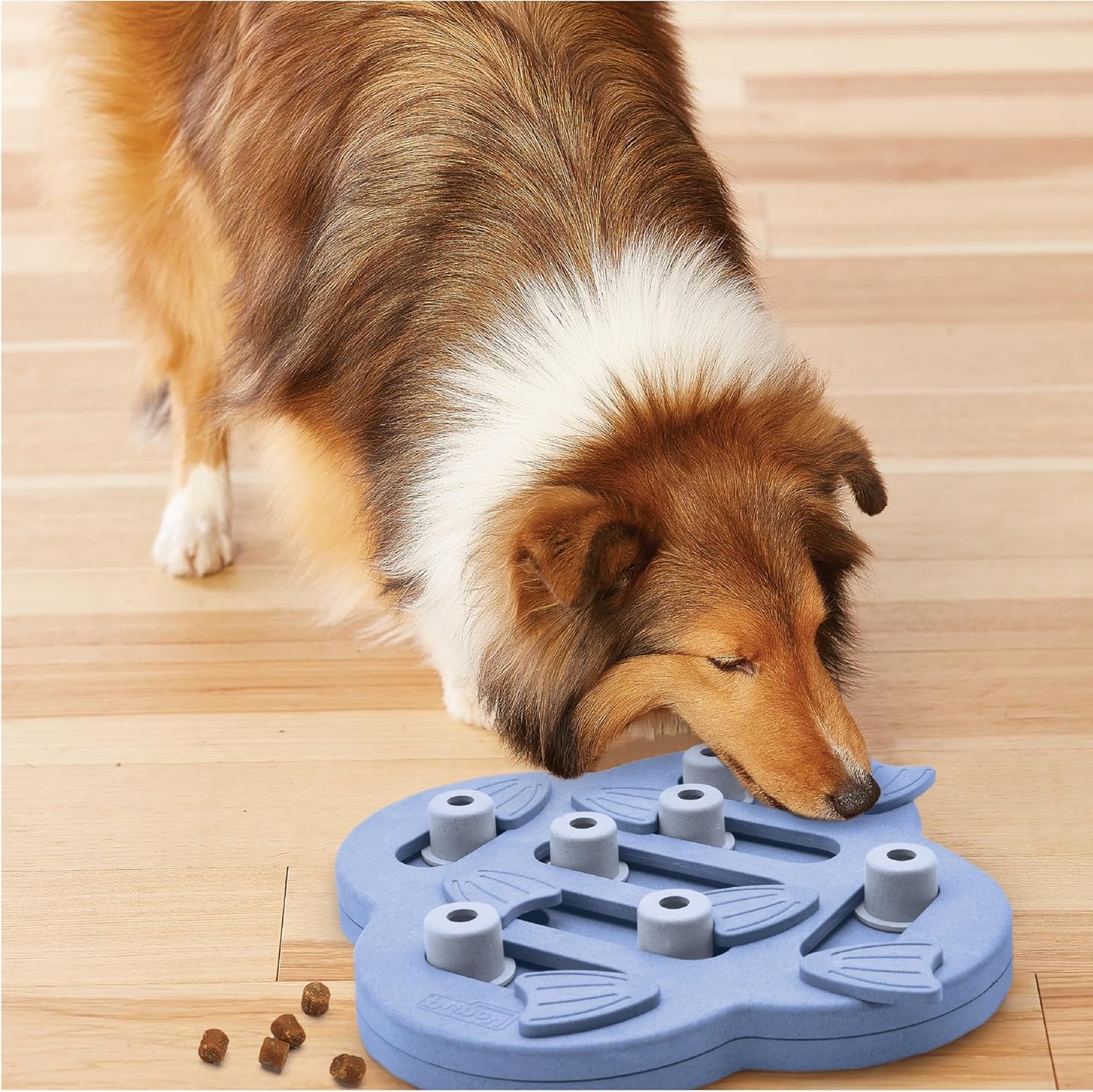 Nina Ottosson Dog Hide N' Slide - Engaging Intermediate Treat Puzzle Toy for Smart Dogs