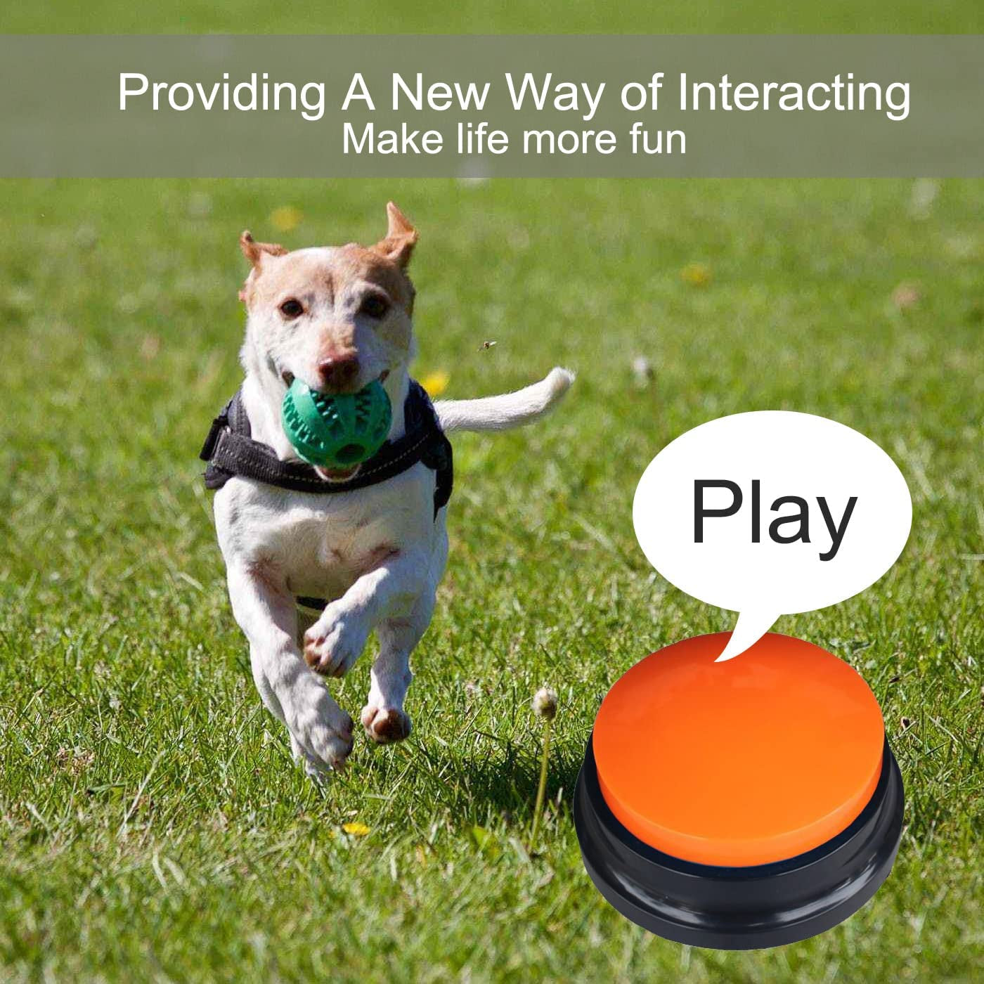 8 Color Voice Recording Buttons - Fun Communication Tool for Dogs, 30-Second Record & Playback, Perfect Gift for Home, Office & Study!