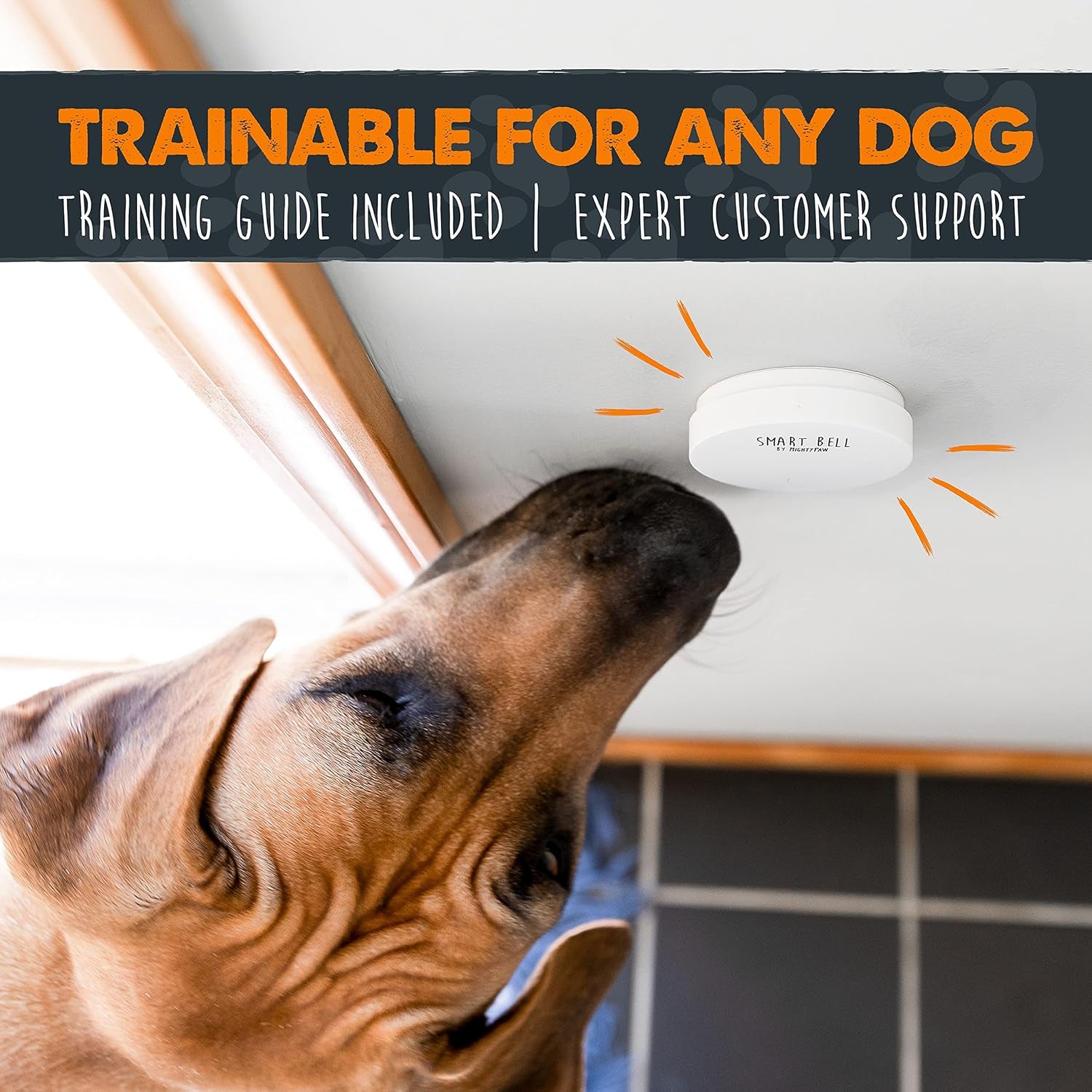 Smart Bell 2.0 - Effortless Potty Training for Dogs & Puppies - Wireless Communication Button (1 Pack)