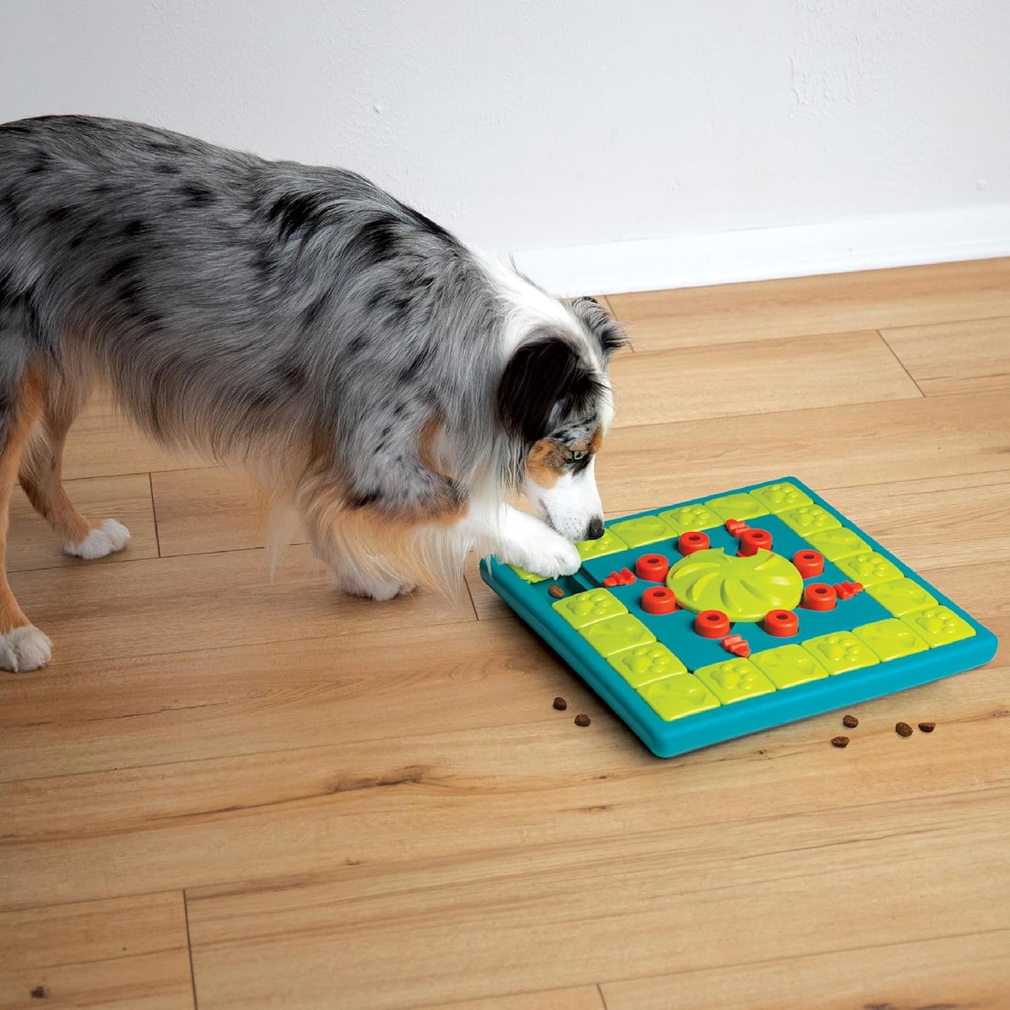 Nina Ottosson Expert Level 4 Interactive Dog Treat Puzzle - Engaging Enrichment Toy for Smart Dogs