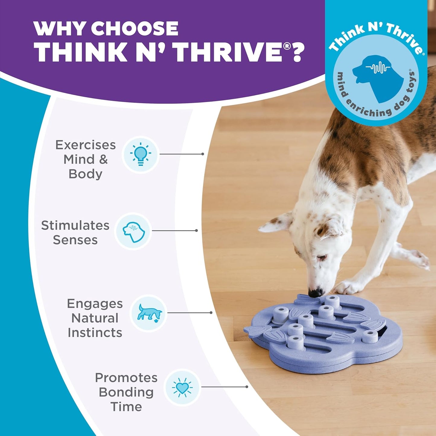 Nina Ottosson Dog Hide N' Slide - Engaging Intermediate Treat Puzzle Toy for Smart Dogs