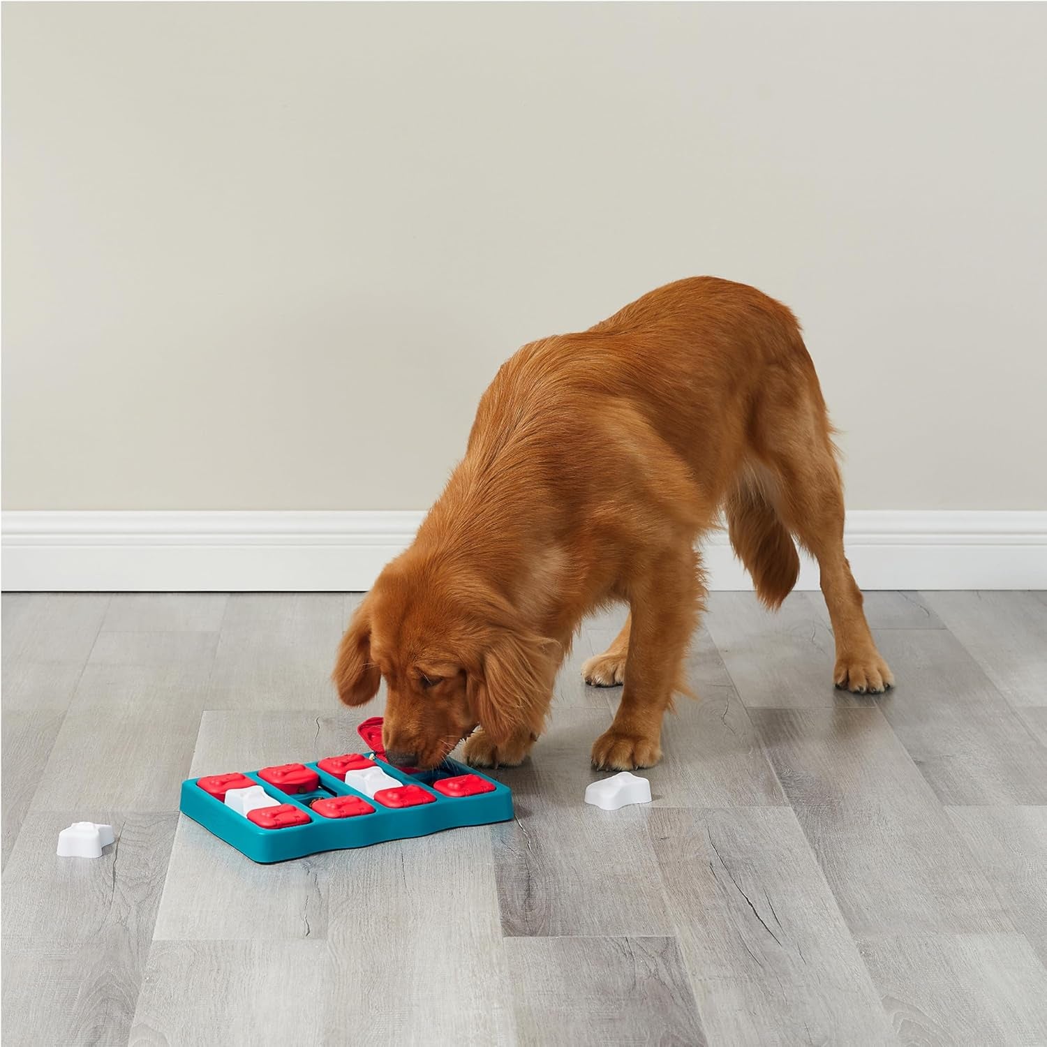 Nina Ottosson Dog Brick - Engaging Interactive Treat Puzzle Toy for Intermediate Dogs