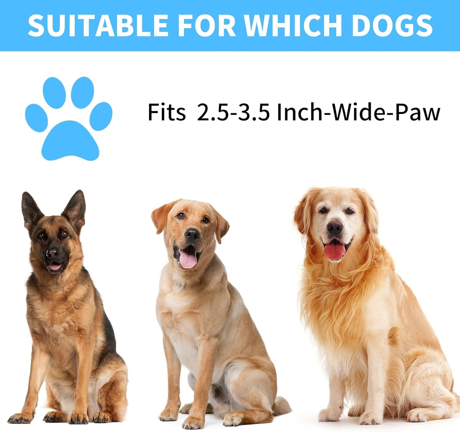 Ultimate 7-in-1 Dog Paw Cleaner Kit for Dogs & Cats - Portable Washer, Bath Brush, Toothbrushes & Absorbent Towels - Fits Paws 2.5 to 3.5 Inches Wide (Large, Blue)