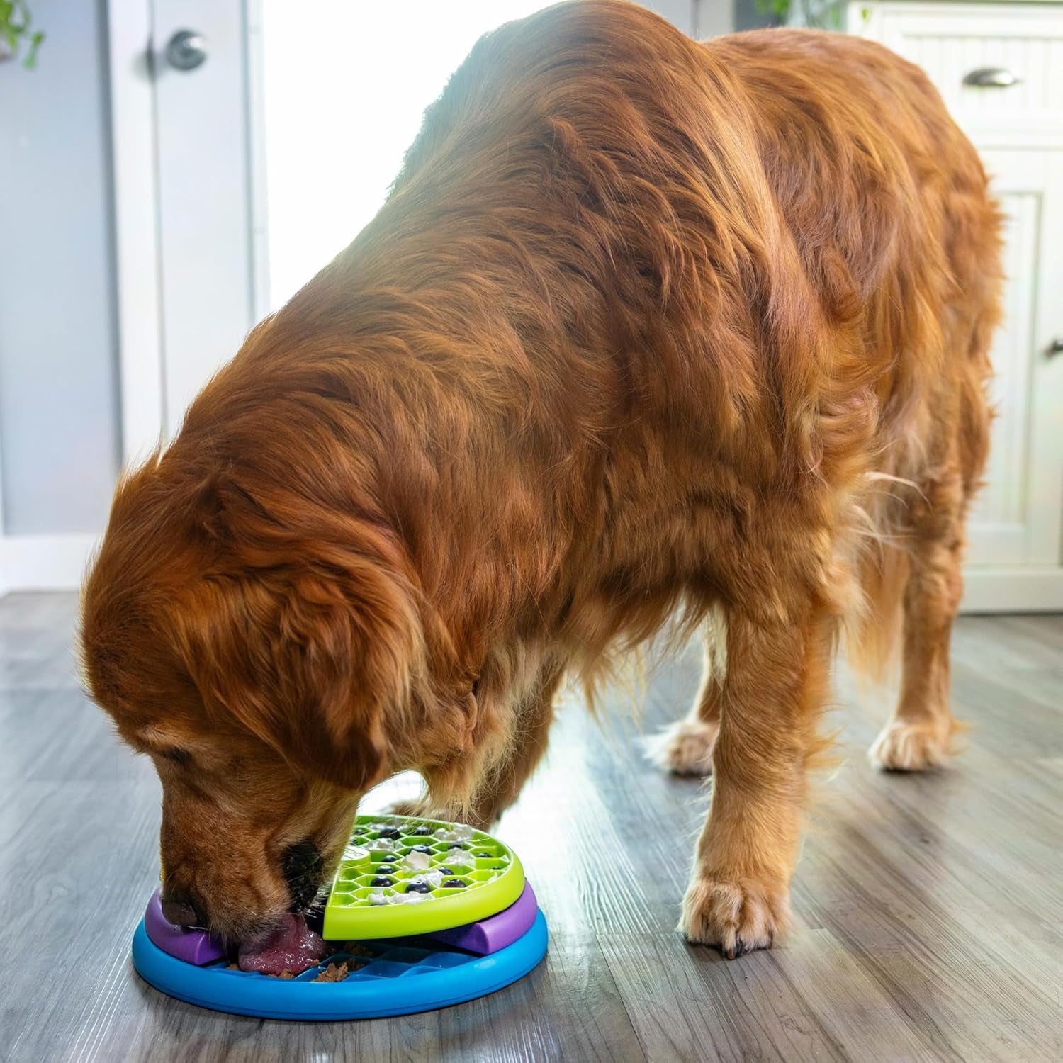 Nina Ottosson Lickin’ Layers 3-in-1 Interactive Dog Feeder Puzzle - Engaging Lick Mat & Slow Feeder Bowl for Medium & Large Dogs, 2 Cup Capacity, 10.4" x 2.8