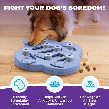 Nina Ottosson Dog Hide N' Slide - Engaging Intermediate Treat Puzzle Toy for Smart Dogs
